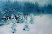 Load image into Gallery viewer, Alpine Trees - Ehrwald Fine Art Photography Christmas Printable - Orla Gilkeson Art
