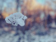 Load image into Gallery viewer, Cairn Wood in Winter, County Down Giclee Print