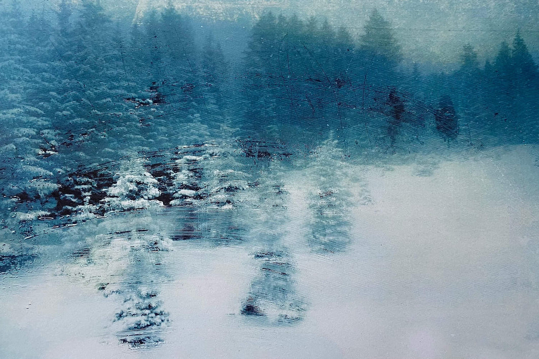 Alpine Trees - Ehrwald Fine Art Photography Christmas Printable - Orla Gilkeson Art
